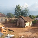 Rural village with thatched hut and dirt road